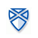 Saltire Software logo