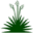 San Angelo Country Club logo