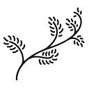 Sarah O. Jewelry logo
