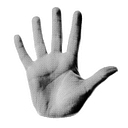 Sexual Violence Prevention Association (SVPA) logo