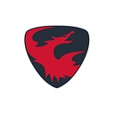 Skyeton logo