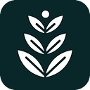 Spring Marketing Co. logo