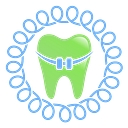 Spring Orthodontics logo