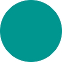 Spring Point Partners logo