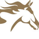 Steadman Chase logo