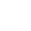 SteerBridge logo
