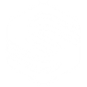 Stelia logo
