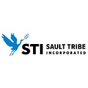 STI Federal logo