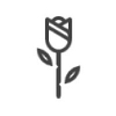 Studio Rose logo