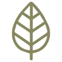 The AD Leaf Marketing Firm LLC logo