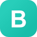 The Bridge Placement Network logo