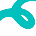 The Evolve Group logo