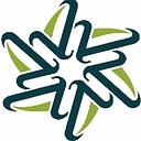 The Hayes Approach logo