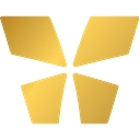 The Integrated CEO logo
