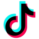 TikTok USDS Joint Venture logo