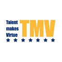 TMV Global Inc logo