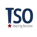 TSO (The Sanford Organization) logo