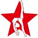 Twist 'N Flip Gymnastics logo