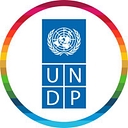UNDP in the Arab States region logo