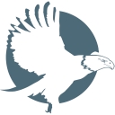 Valliant Consulting Group logo