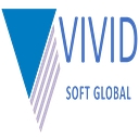 Vivid Soft Global logo
